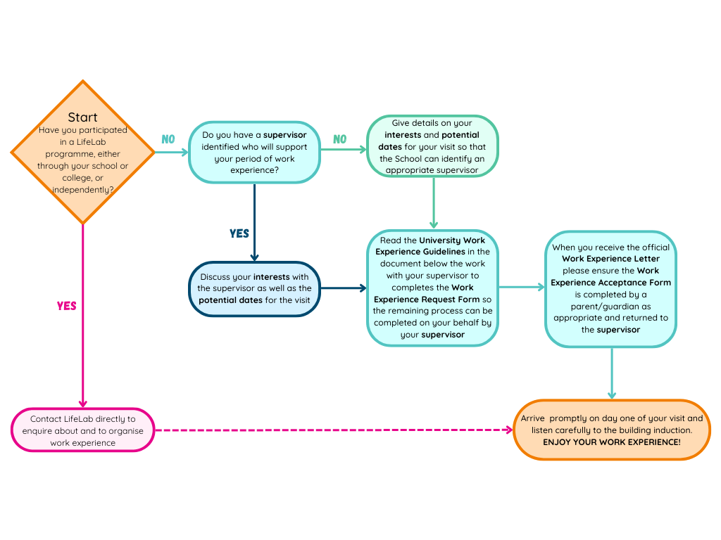 Flow diagram to show the 3 pathways for applying for work experience with the Faculty of Medicine