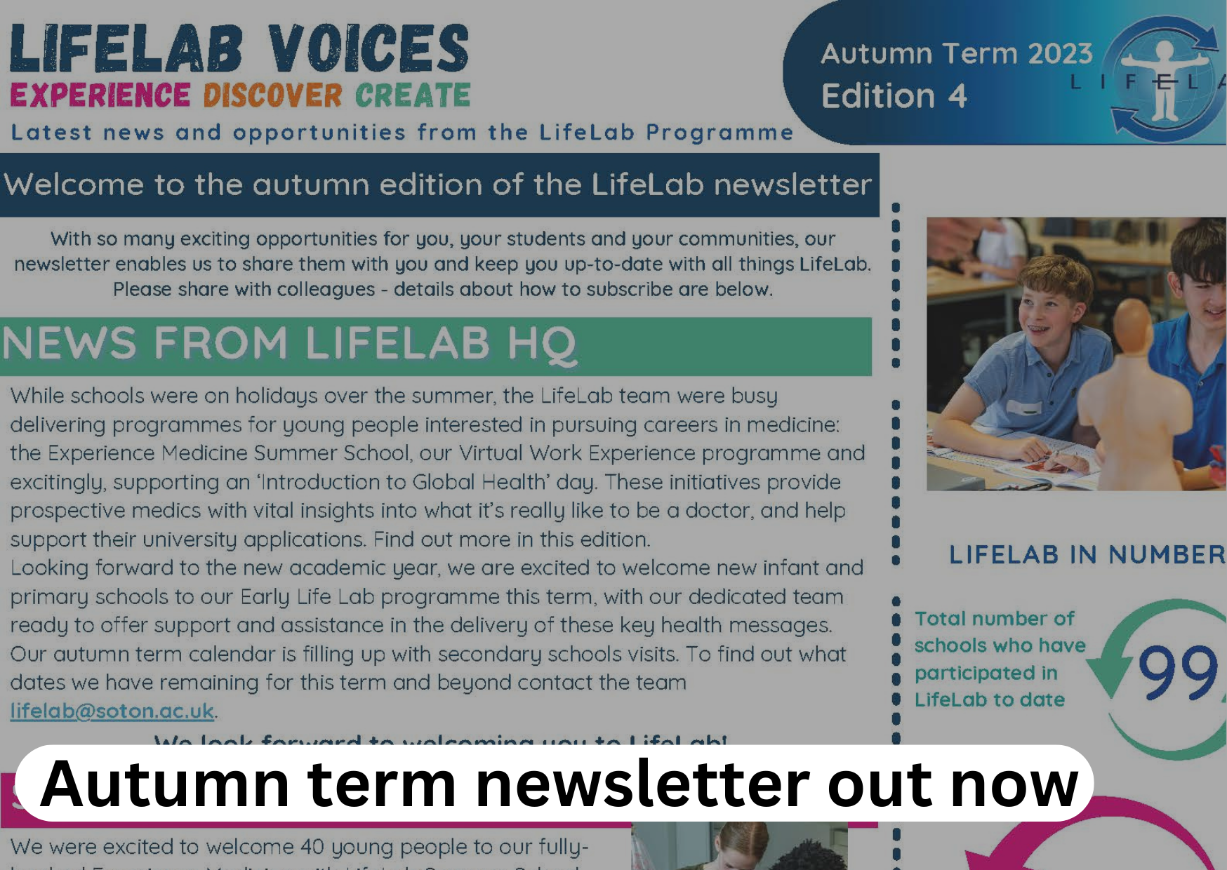Autumn tern newsletter - link