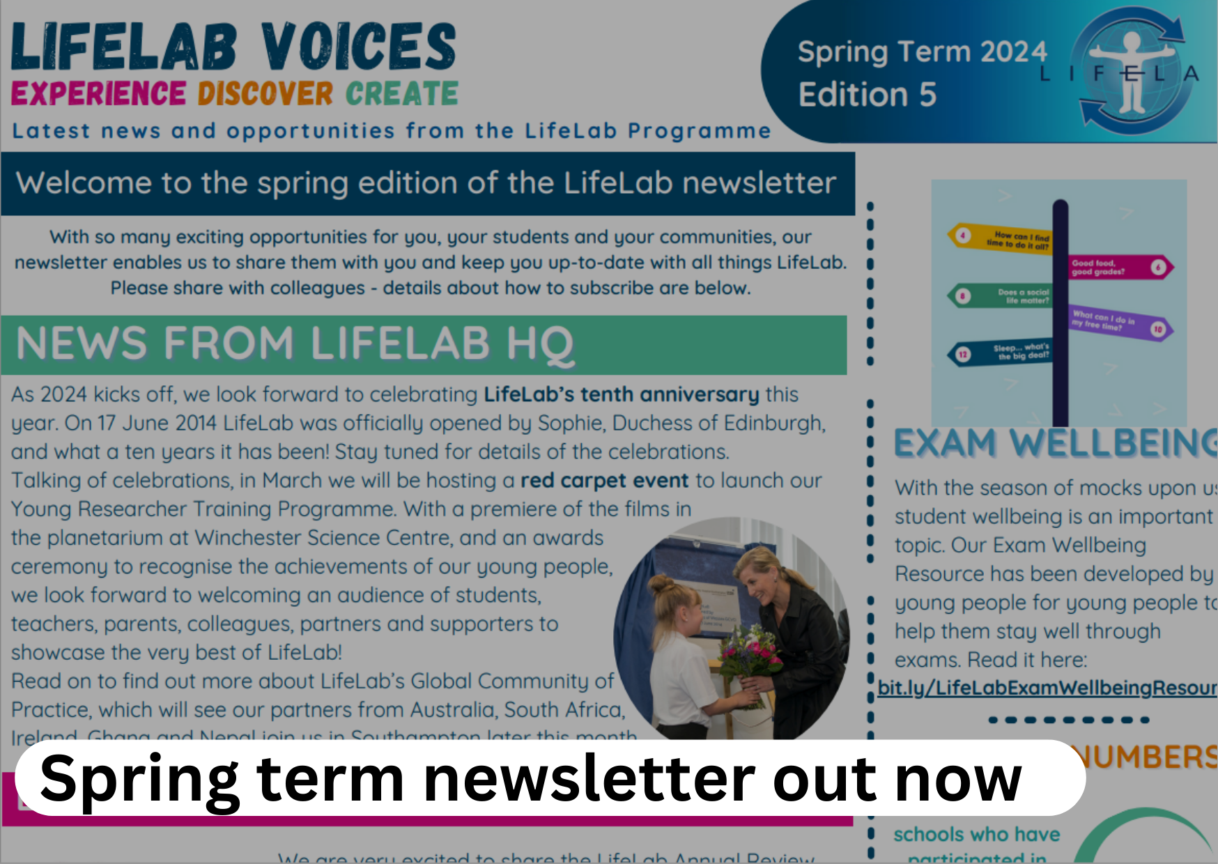 Spring Term Newsletter out now