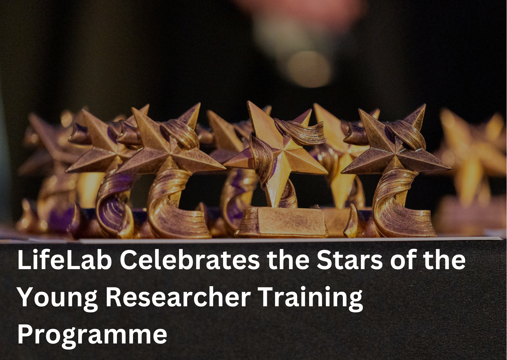 LifeLab celebrates the stars of the young researcher training programme